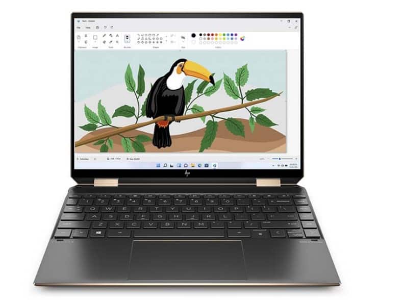 Laptop đồ họa